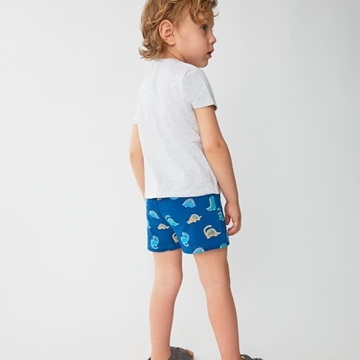 Conjunto dino - Imagen 2