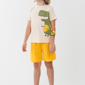 Conjunto dino - Imagen 1