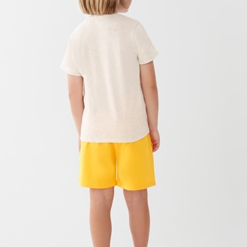 Conjunto dino - Imagen 2