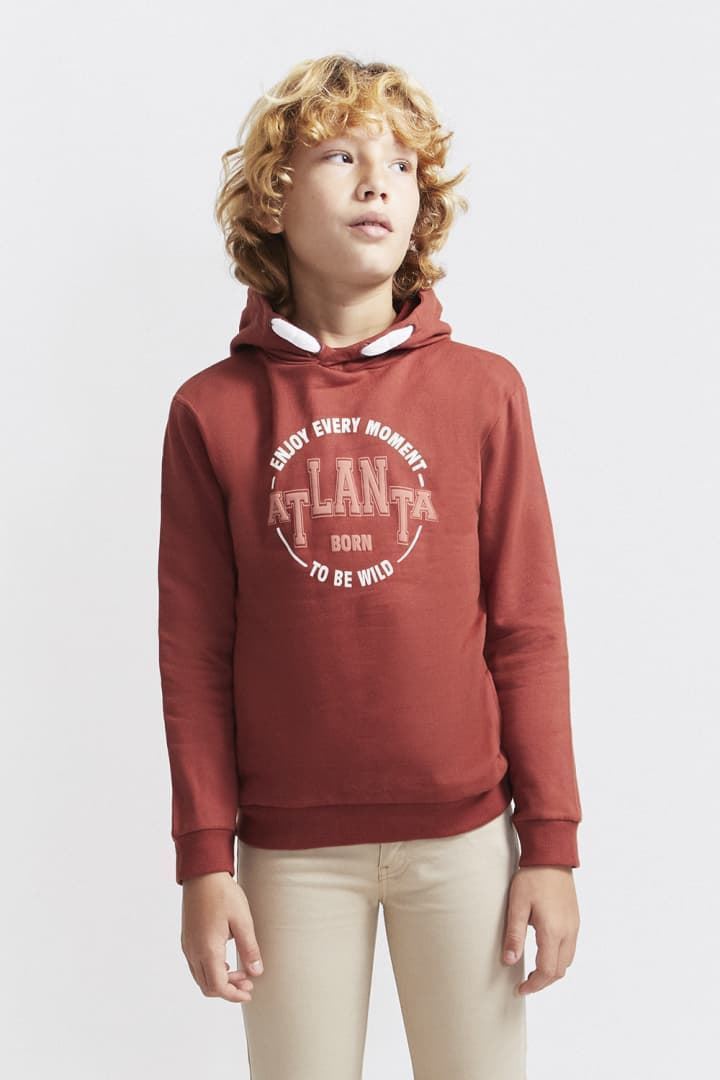 SUDADERA CON CAPUCHA - Imagen 1