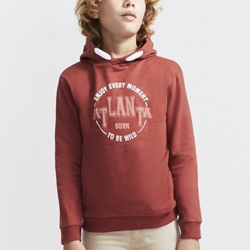 SUDADERA CON CAPUCHA - Imagen 1