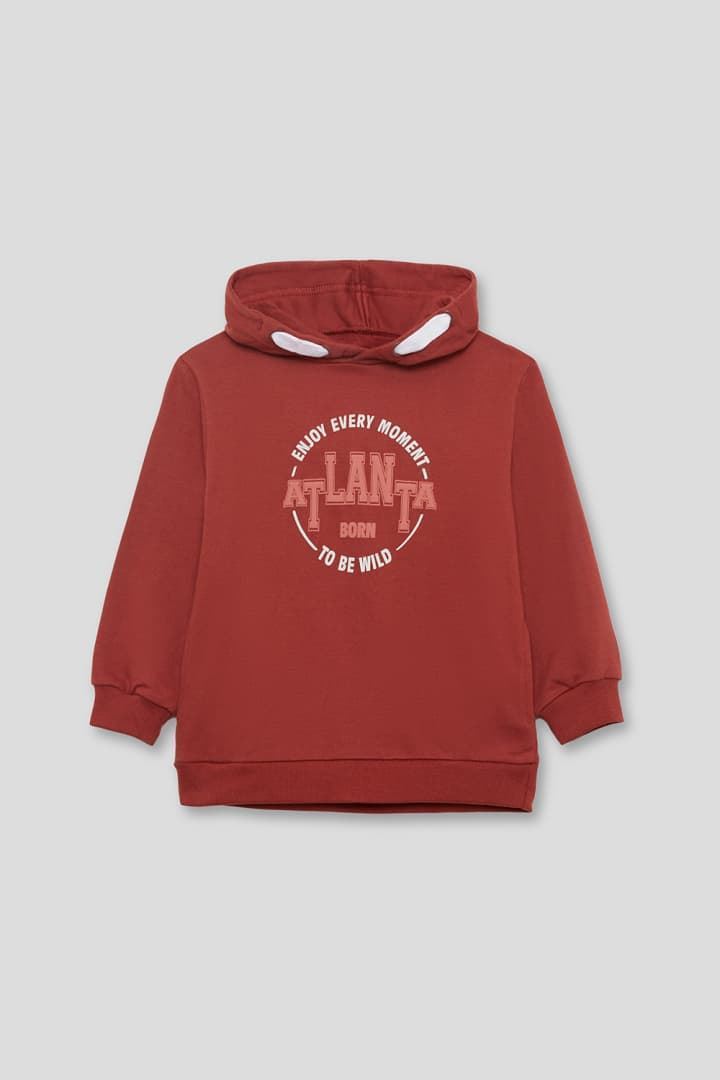 SUDADERA CON CAPUCHA - Imagen 2