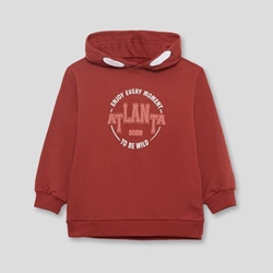 SUDADERA CON CAPUCHA - Imagen 2