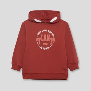 SUDADERA CON CAPUCHA - Imagen 2