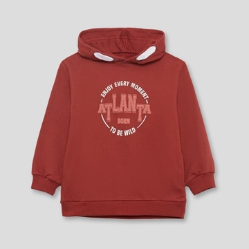 SUDADERA CON CAPUCHA - Imagen 2