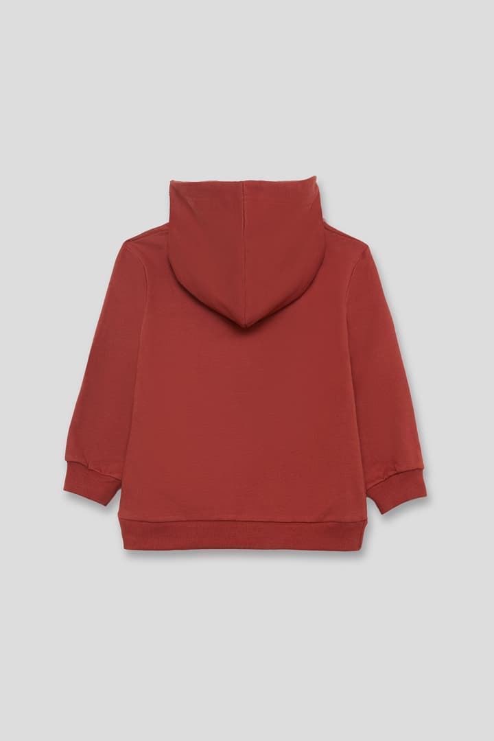 SUDADERA CON CAPUCHA - Imagen 3