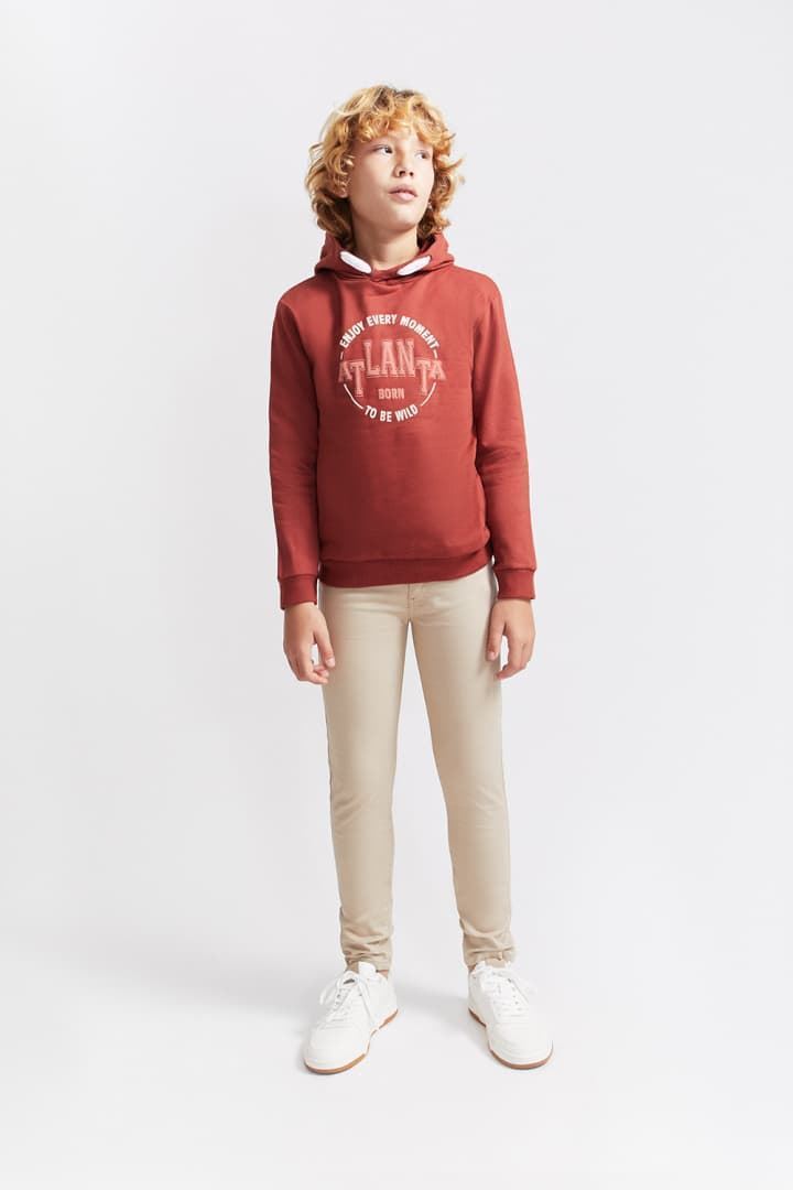 SUDADERA CON CAPUCHA - Imagen 5
