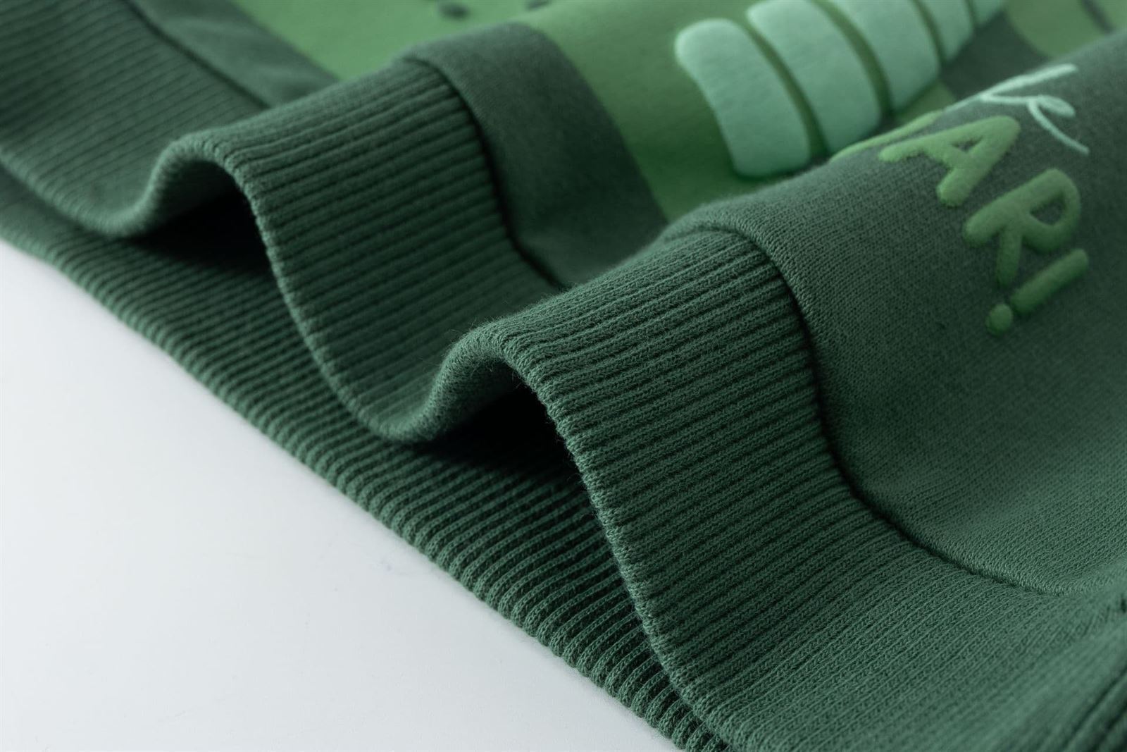 Sudadera dinosaurio - Imagen 8